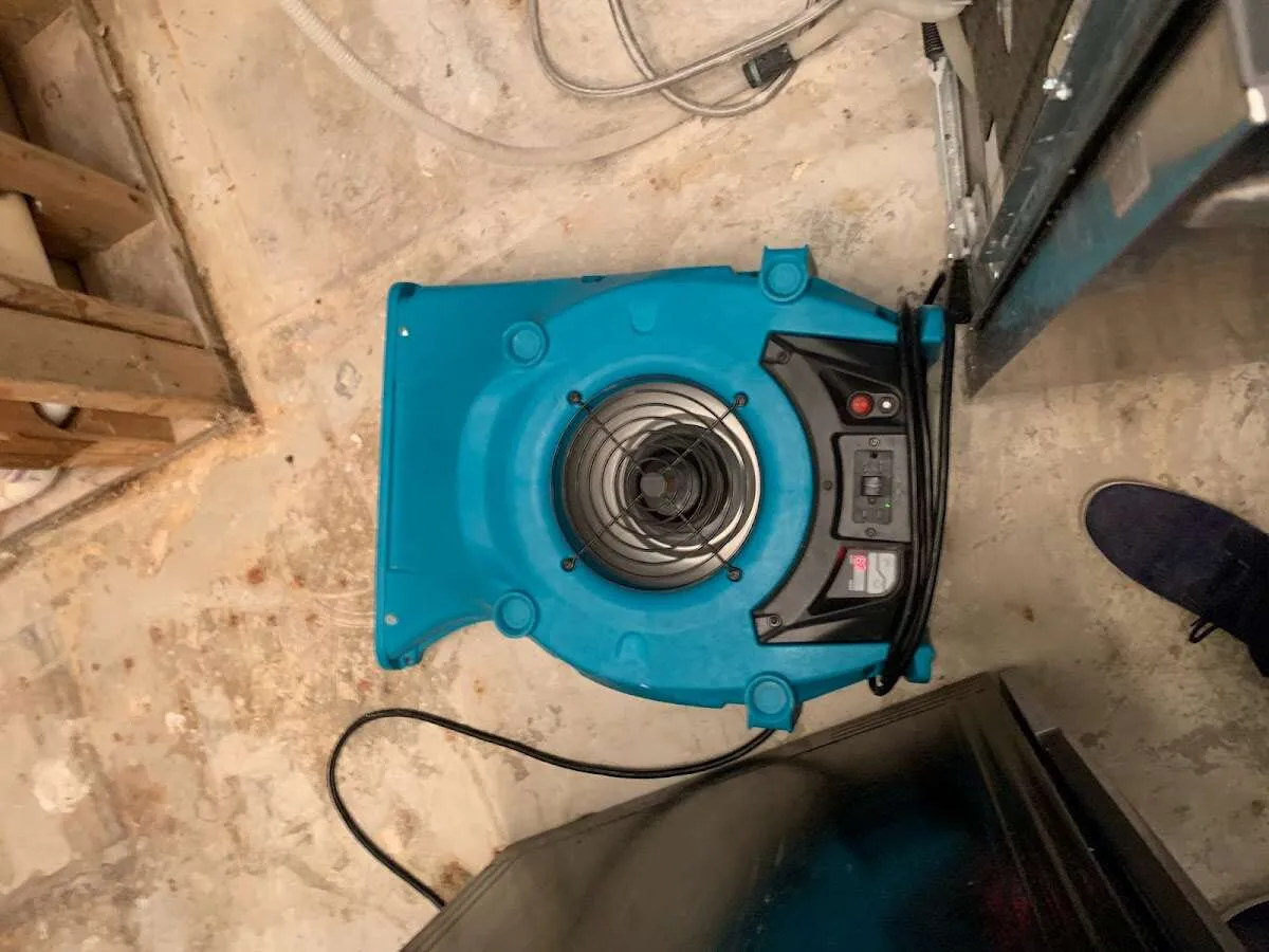 Air mover drying equipment for Mold Remediation & Removal in Willow Oak